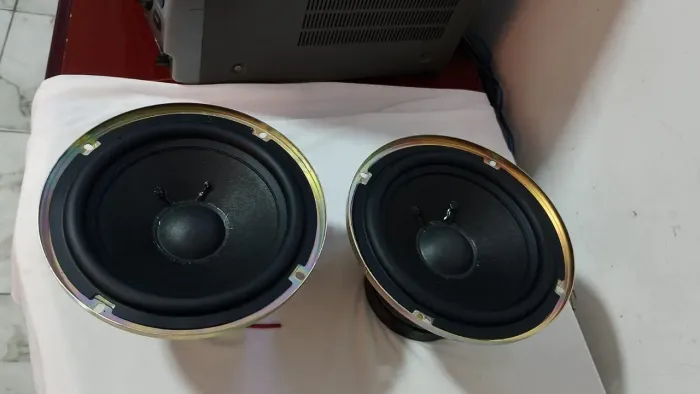 PAR SUBWOOFER SONY LBT-XB66 IMPEDÂNCIA 6 OHMS 8 POLEGADAS ESTADO DE NOVO