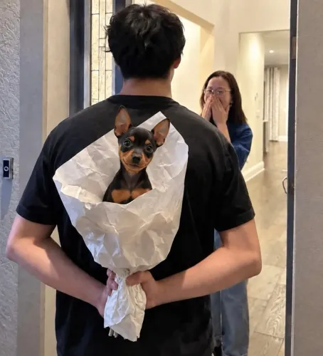 Pinscher 0 - O melhor presente para quem você tanto ama.