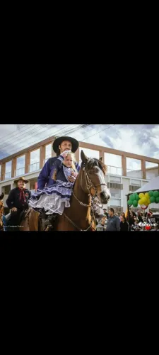 Cavalo crioulo documentado 