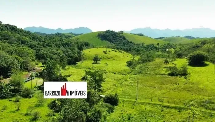 Barrozo Imóveis - Sítio de 4.21 alq para criação / plantação - Oportunidade.