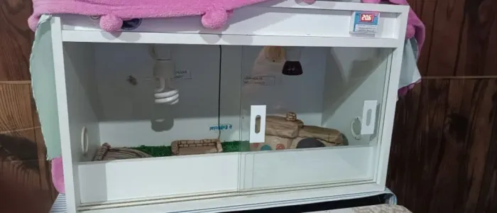 Terrário para Jabuti Reserva Romanetto - Completo em bom estado