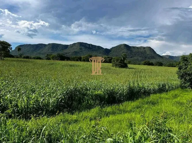 FAZENDA DE 2.725 HECTARES COM 2.000 CABEÇA DE GADO NA REGIÃO DE MONTE ALEGRE DE GOIÁS-GO!