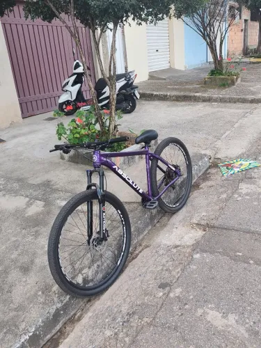 Bicicleta Absolut Nero 5