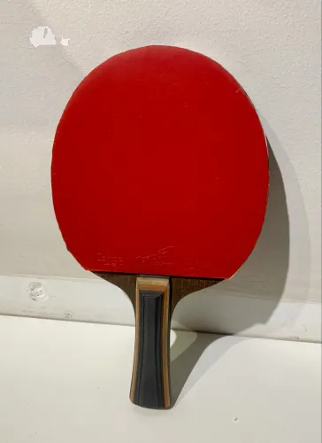 Raquete Profissional de Tênis de Mesa Completa