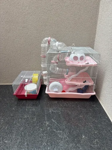 Gaiola para hamster
