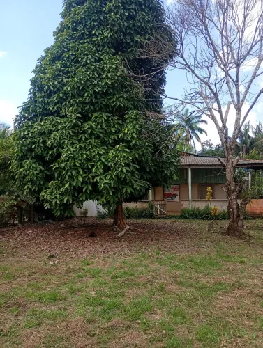 Vendo sítio ou troco por caminhão do meu interesse