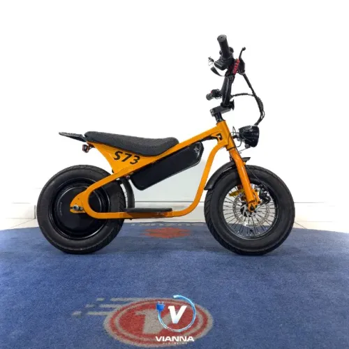 bicicleta elétrica