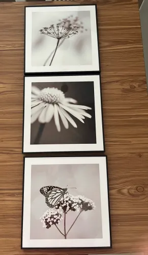 3 quadros decorativos
