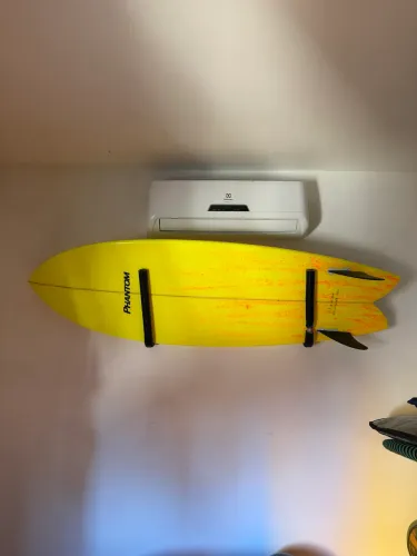 Prancha fish