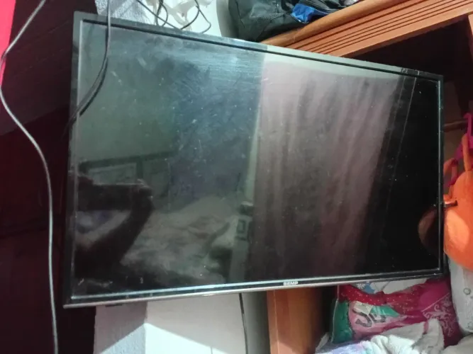 Televisão