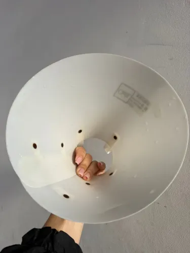 Cone pet