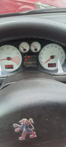 Peugeot 307 Feline/griff/premi. 2.0 Flex 5P Aut. 2009