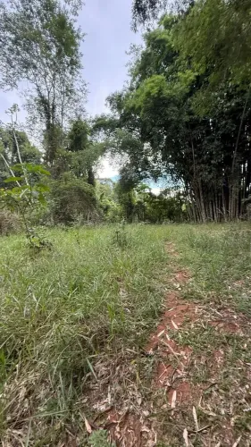 Terrenos a venda com 5000 metros quadrados no  Canaa II - Jambeiro - SP