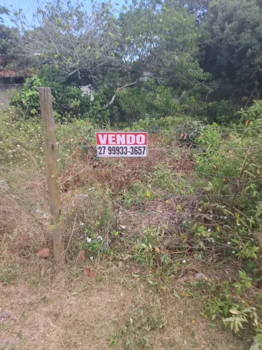 Lote Regência