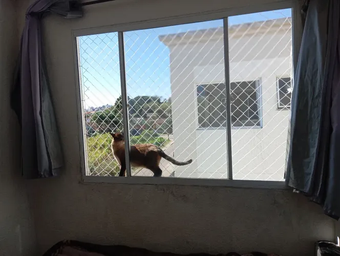 Telas de proteção pet , crianças.