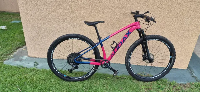 Audax Auge 555