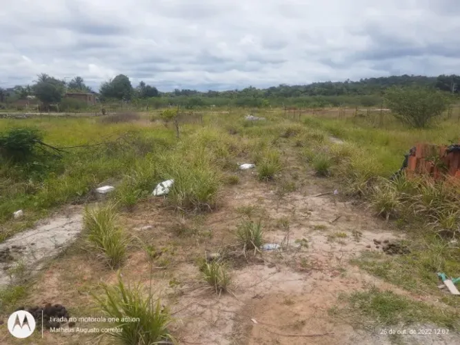 Lotes - Barra do Pote - Ilha