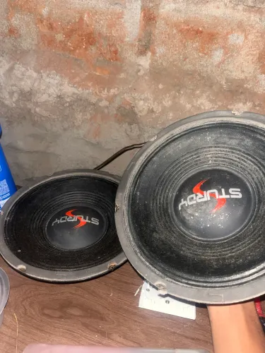 Alto falantes 10 pol Sturdy 