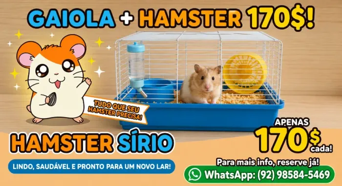 Hamster + Gaiola , peça já o seu !