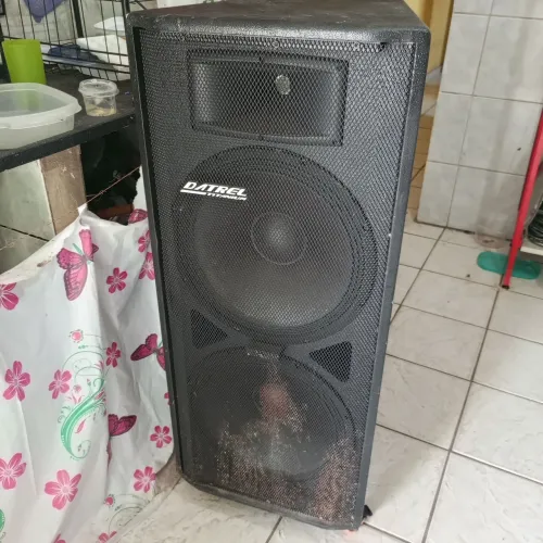 Caixa de som profissional amplificado..2 fones de 15 pol...aceito cartão valor 3.500