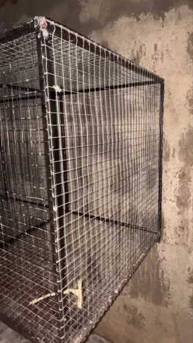 Viveiro ideal para aves 