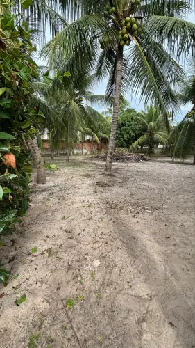Terrenos na Barra de santo Antônio ilha da cor á 100 metros da praia