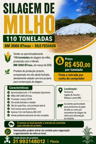 Silo de milho