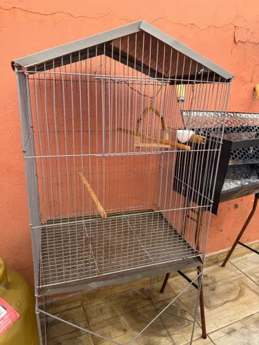 Gaiola Calopsita ou Passarinho