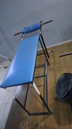 mesa flexora