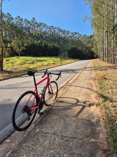 Specialized Tarmac 56