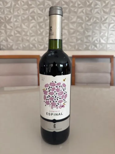? Vinho Espanhol Dominio Espinal 2015 Importado