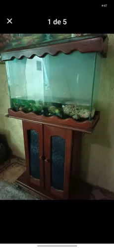 Aquário completo