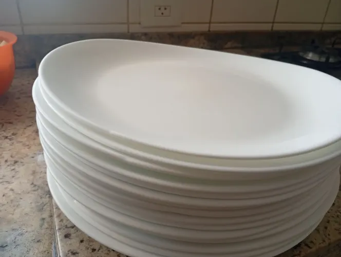Pratos ovais para restaurante
