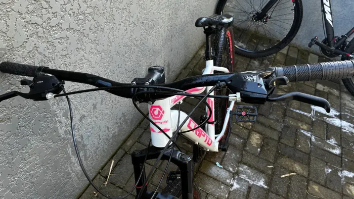 Bicicleta Mountain Bike Cripto Scarlet R29