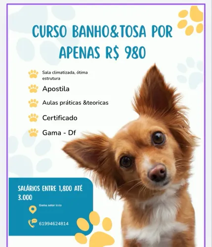 Curso banho e tosa