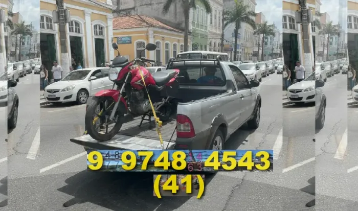 Frete rápido e seguro! EMS: 41?9?9748?4543 - transporte de carga ágil!