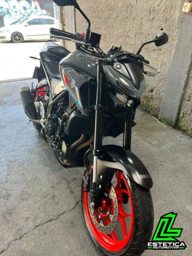 Mt03