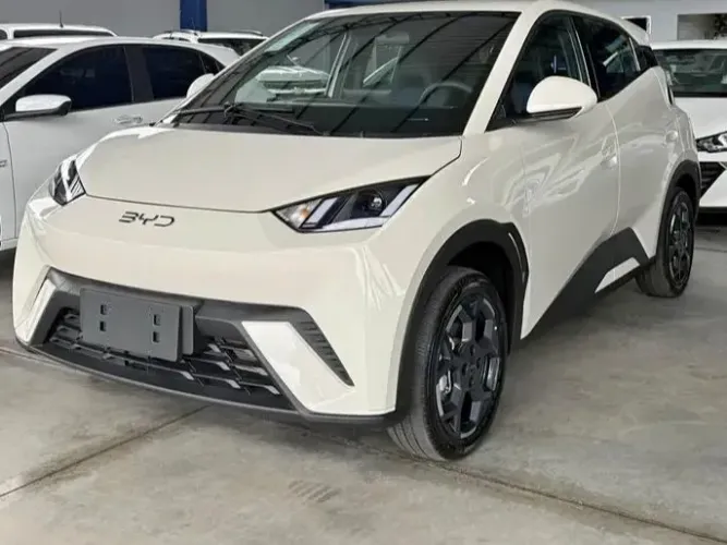 Estou a procura de Byd para alugar