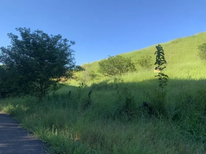 Leilão | Terreno para venda possui 360 m² em Cidade Jardim - Ubá - MG