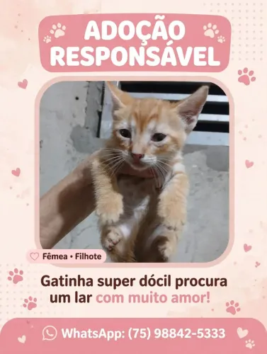 Para doação 