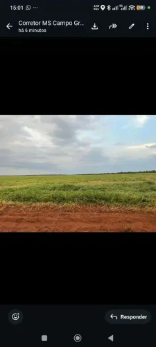 Fazenda de arrendamento 1.020 hec em Bandeirantes MS.