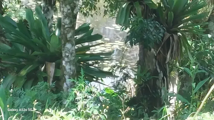 Chácara de 10 mil metros com lago próximo a Juquitiba