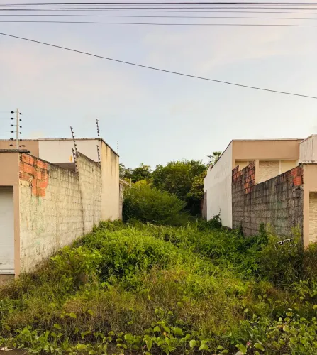 Lote 6x31 loteamento novo ancuri 
