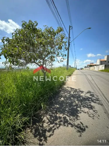 Lote em condomínio em Rua Jornalista Nicolau Neto - Teotônio Batista de Freitas - Pedro Le