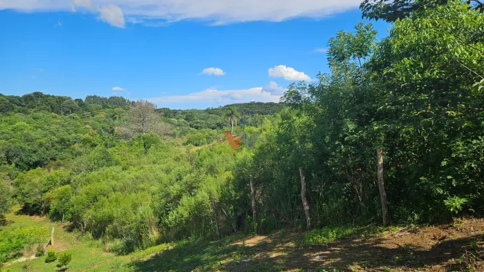 Área de 7.000m em Contenda Refúgio com Bosque, Córrego e Natureza Privativa
