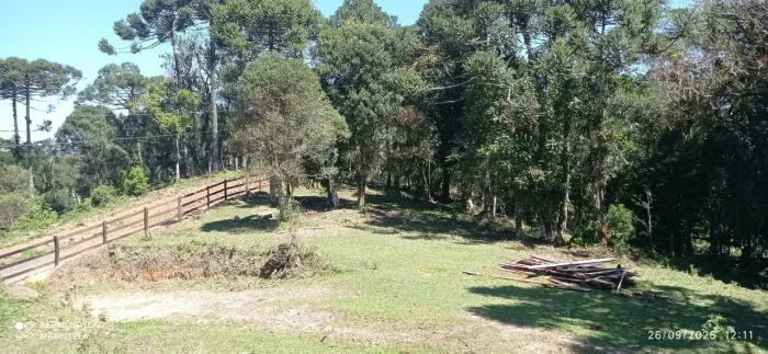 Lindo terreno pra mini chácara