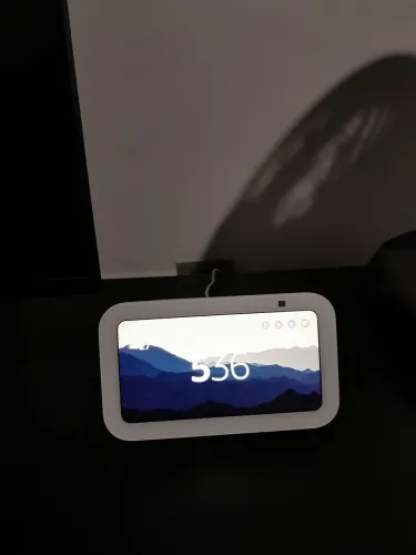 Alexa echo 5