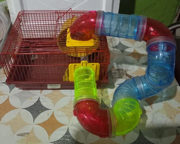 Casa de hamster 