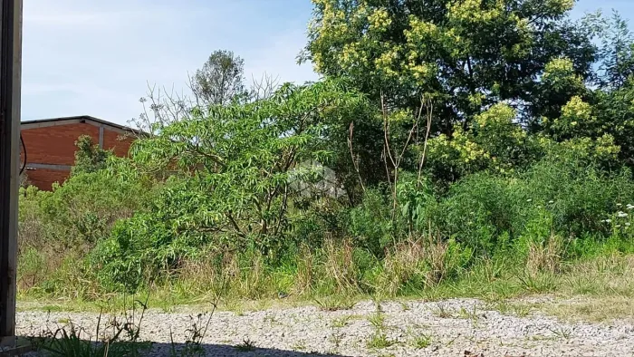 Lote Industrial no Bairro São Roque