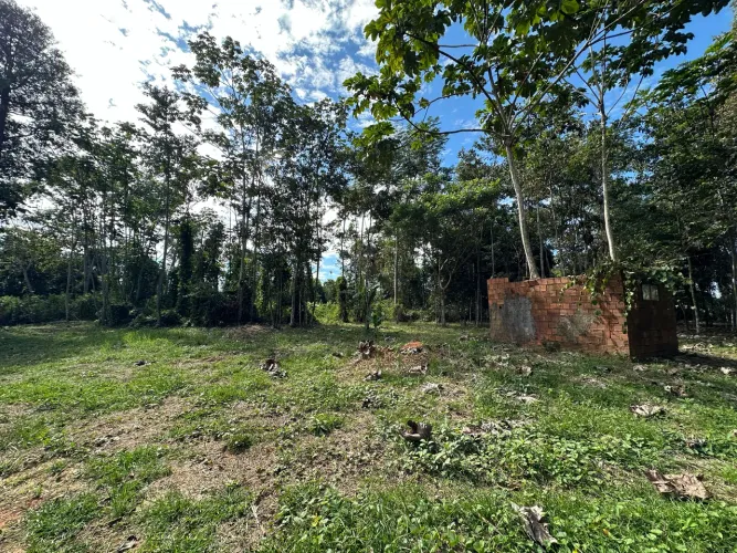 Vendo chácara  Localizada na AC-40 Ramal do Cacau, a menos de 800 metros do asfalto. 